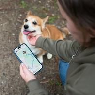 3 rastreadores GPS para perros sin mensualidad que venden en Amazon: detalles