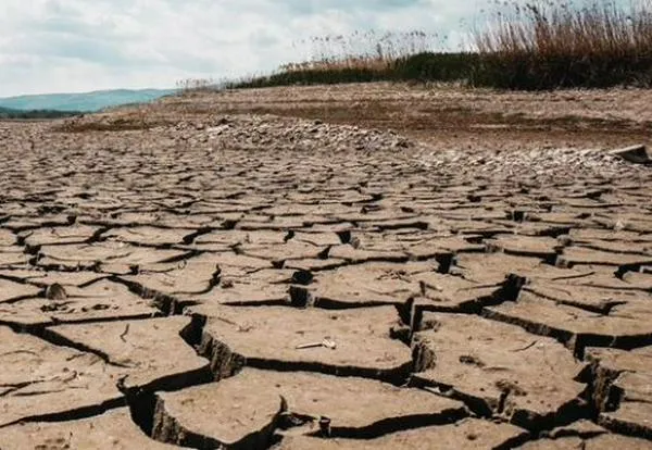 El mundo no logró evitar el calentamiento global por encima de 1,5 °C: ¿qué sigue?