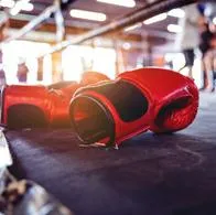 comprar Máquina de boxeo musical para casa: precio y características en Colombia