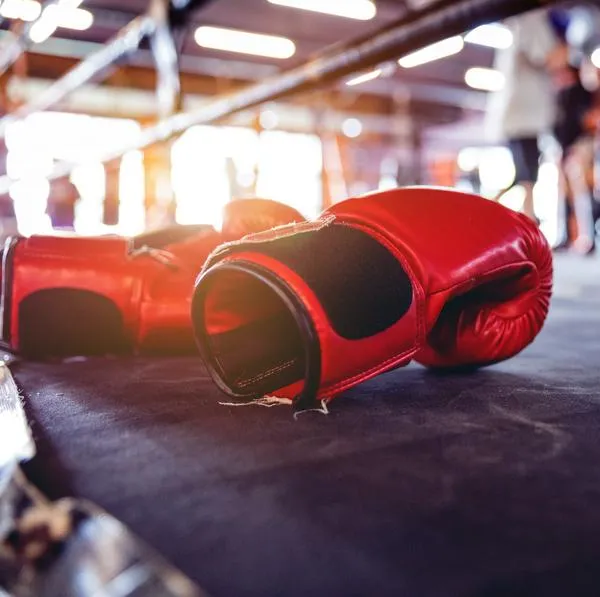 comprar Máquina de boxeo musical para casa: precio y características en Colombia
