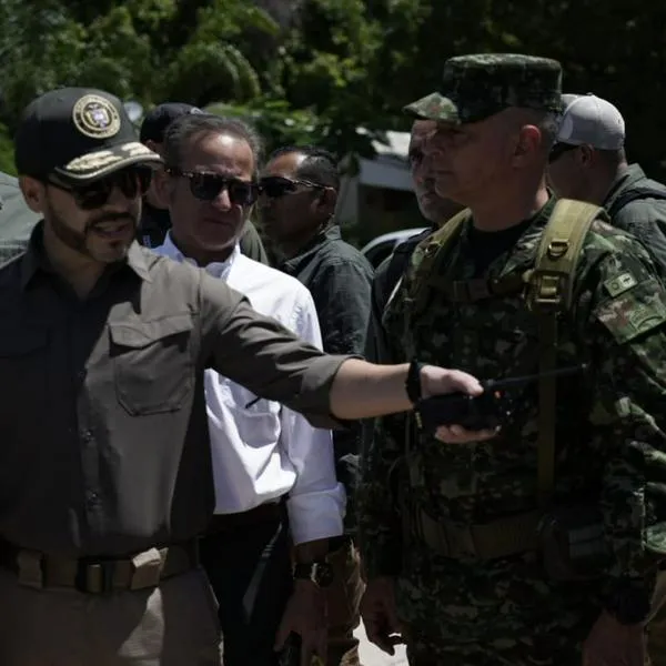 Un bombardeo ordenado por el presidente Abelardo De La Espriella contra el ELN en Nariño dejó al menos ocho muertos. Quinta operación militar de este tipo.