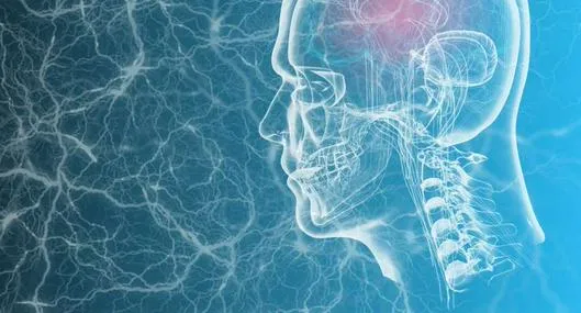Científicos construyen un mapa del cerebro que ayuda a entender cómo sentimos el dolor