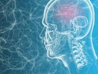 Científicos construyen un mapa del cerebro que ayuda a entender cómo sentimos el dolor