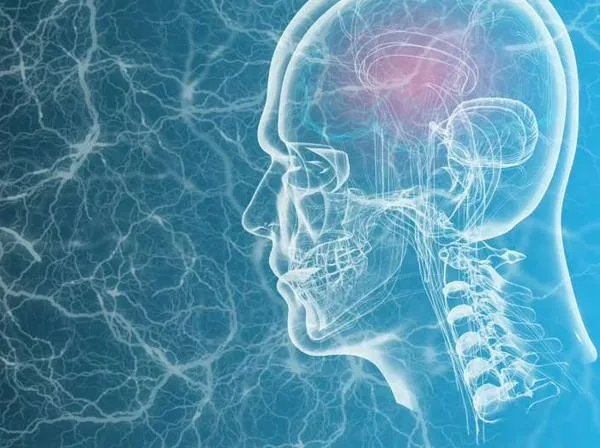 Científicos construyen un mapa del cerebro que ayuda a entender cómo sentimos el dolor