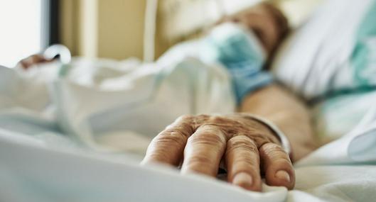 Alerta en Francia: detectan por primera vez virus Shamonda en un ser humano