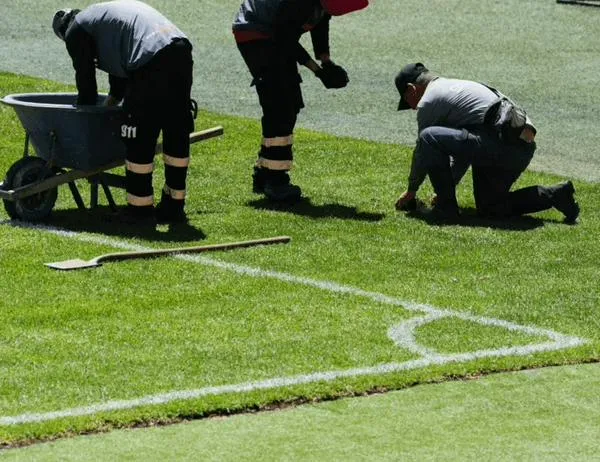 Inicia proceso sancionatorio a Sencia por incumplimientos en grama del estadio El Campín de Bogotá 