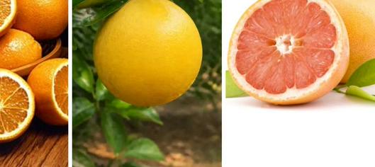 Cómo distinguir entre naranja, toronja y pomelo: diferencias en apariencia, origen y usos en la cocina