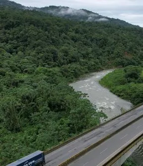 Imagen representativa del artículo