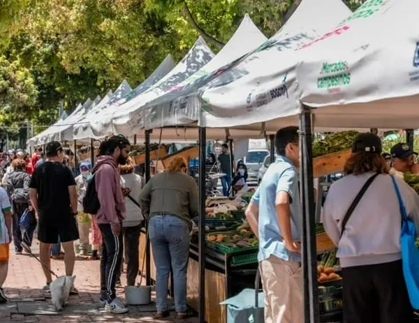 Sabores de la Amazonía en Bogotá: Guainía será anfitrión en el Mercado Campesino del Parque Alcalá  