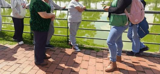Mujeres mayores lideran jornada de reforestación y empoderamiento en el parque Timiza de Bogotá