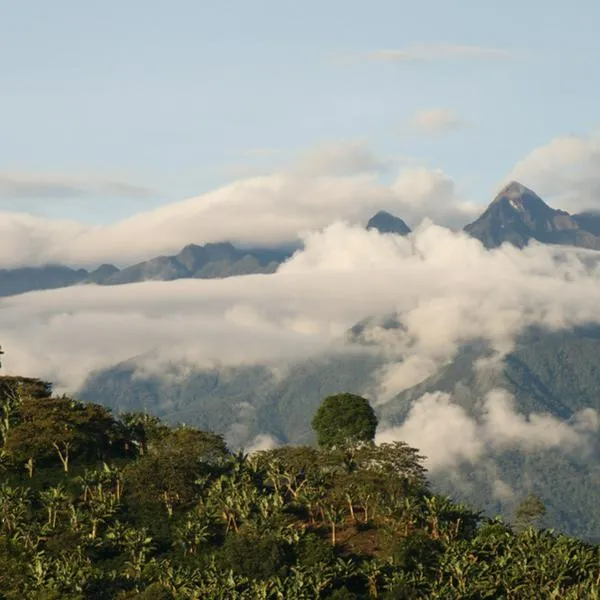 Aire preocupa en Antioquia: dos estaciones registraron contaminación alta