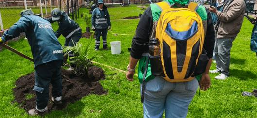 Jardín Botánico y comunidad plantan 112 árboles y arbustos en parques y canal de Engativá, Bogotá