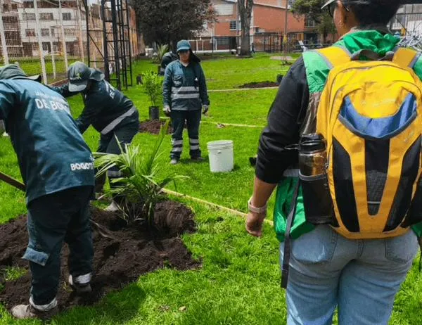Jardín Botánico de Bogotá fortaleció arbolado de tres parques de Engativá 