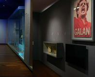 Los restos del incendio (Opinión sobre las decisiones del Gobierno en el Museo Nacional)