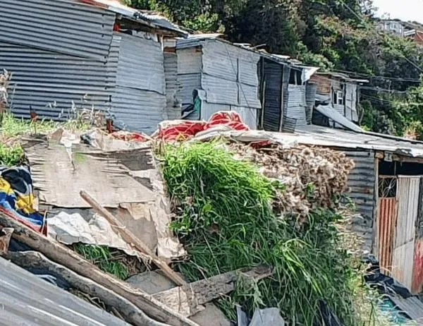 Semana Distrital de Prevención de la Ocupación Ilegal en Zonas Protegidas y de Riesgo 