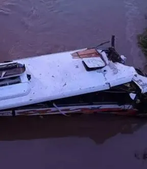 Imagen representativa del artículo