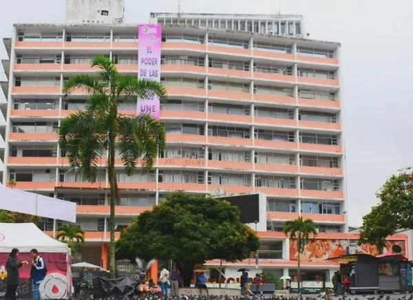 ¿Un riesgo silencioso? Hallazgo en palomas de Ibagué preocupa
