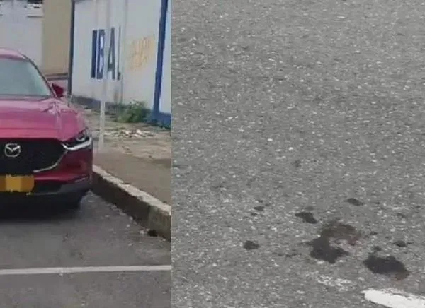 Identifican a la abuelita de 84 años que murió atropellada en Ibagué