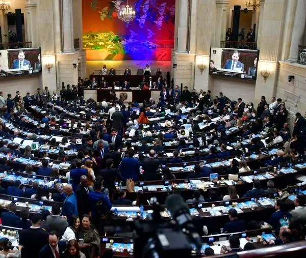 Los detalles de la sentencia de la Corte Constitucional sobre las curules afro del Congreso