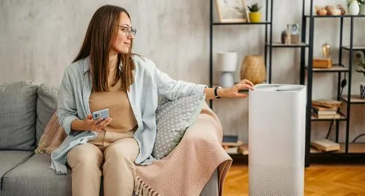 ¿Vale la pena un purificador de aire para apartamentos grandes? Recomendación