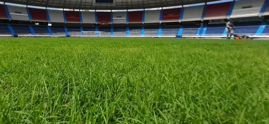 Final de la Copa Sudamericana se jugará a partido único en Barranquilla entre Boca Juniors y Atlético Mineiro