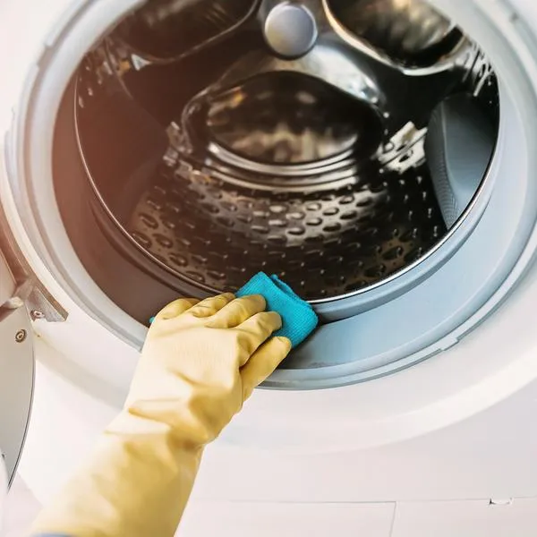 Close up of hand cleaning dirty washing machine sealing rubber