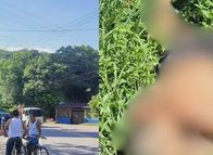 Misteriosa muerte en el viaducto de Gualanday: esto se sabe sobre su identidad