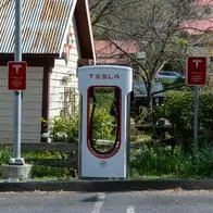 Tesla y marcas chinas arrasan en Colombia: dominan casi todo el mercado