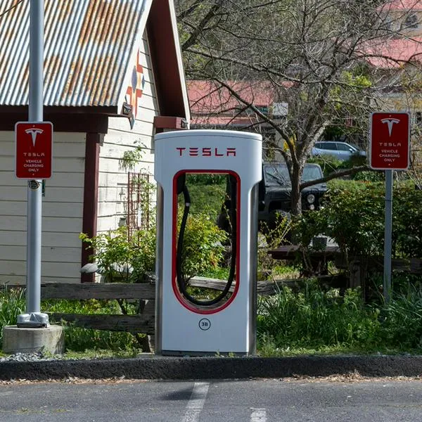 Tesla y marcas chinas arrasan en Colombia: dominan casi todo el mercado