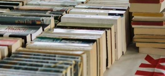 CaliLee 2026 impulsa la lectura infantil en Cali al conectar intereses de niños, familias y educadores en el Festival del Libro