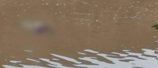 Hallan cuerpo sin vida de un hombre en el río Saldaña en Ataco, Tolima; autoridades trabajan en su identificación