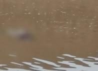 ¡Tragedia en Ataco! Hallan otro cuerpo en el río Saldaña
