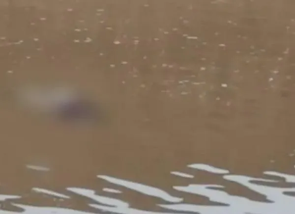¡Tragedia en Ataco! Hallan otro cuerpo en el río Saldaña
