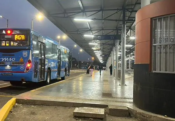 MÍO tendrá bus especial para llevar a los niños al Zoológico de Cali en Halloween