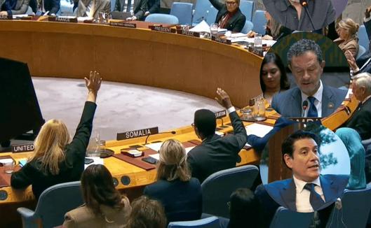 Polémica en la ONU por cambio en el mandato de verificación del Acuerdo de Paz en Colombia y exclusión de la reforma rural