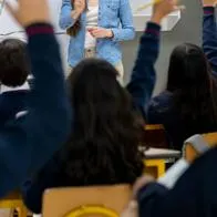 Cuáles son los mejores colegios de Colombia, según pruebas saber 2026