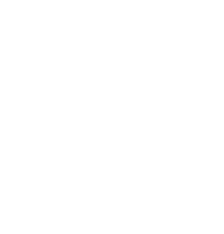 Logo ami
