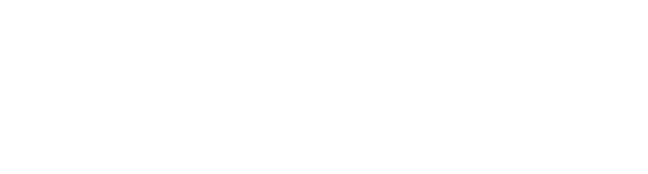 Pulzo
